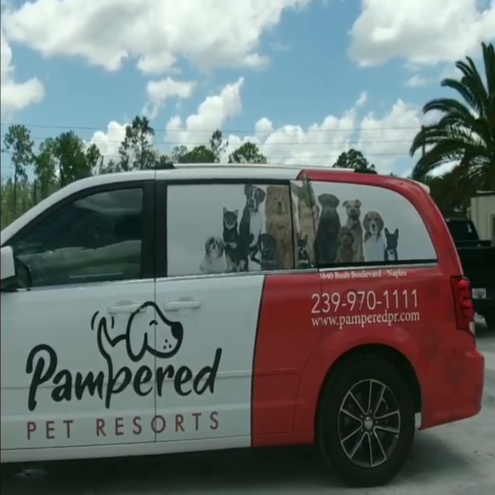 Pet Boaring Gallery Pampered Pet Resorts Naples Florida Pampered