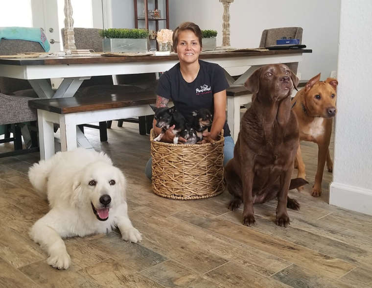 Naples FL Dog Hotel Daytime Dog Sitters & Overnight Dog Boarding