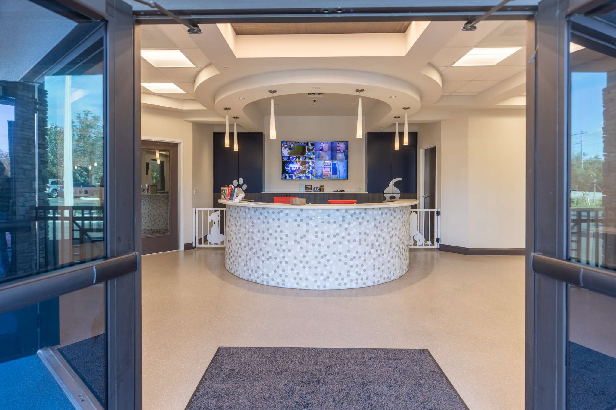 Naples FL Doggie Daycare Dogsitting & Puppy Day Care Services