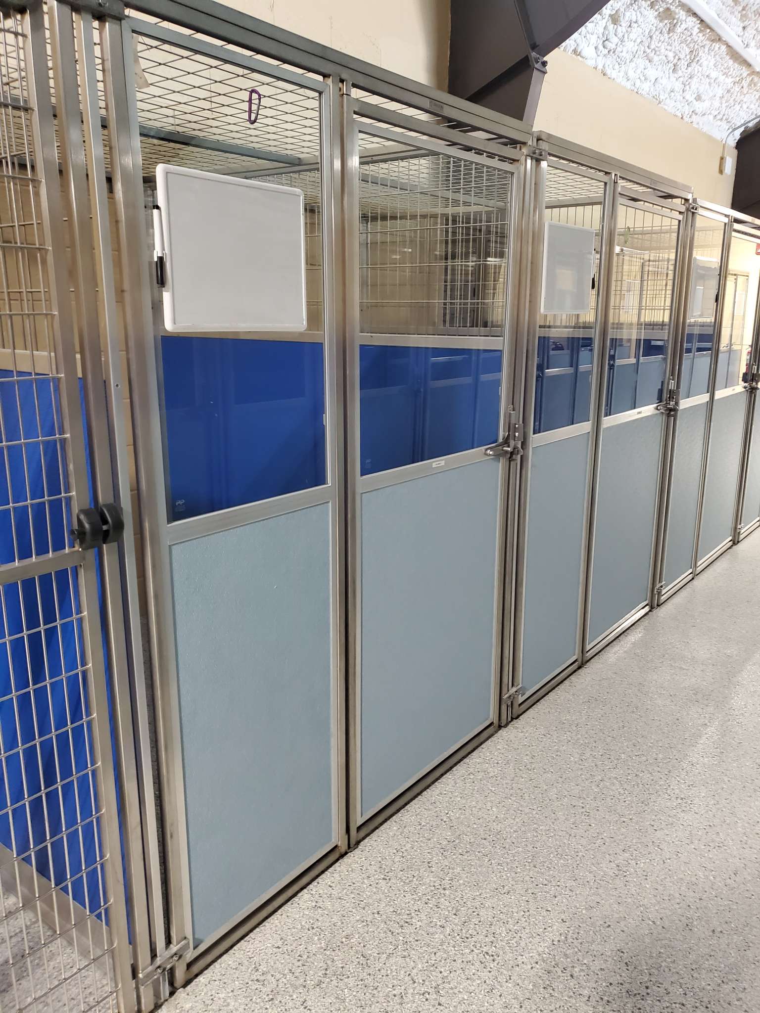 Naples FL Overnight Dog Boarding Luxury Dog Hotel & Lodging