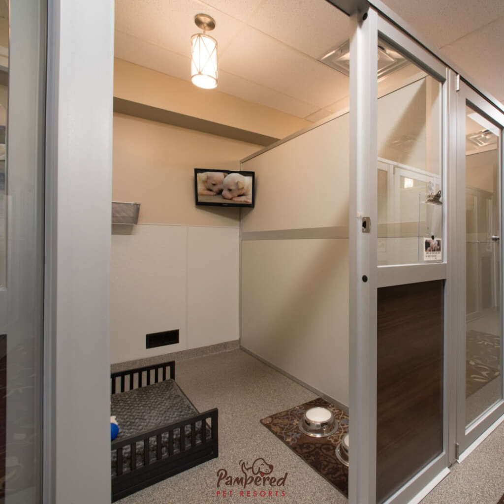 Best Dog Boarding in Naples FL