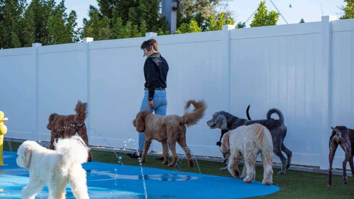 Naples FL Dog Boarding Kennel & Doggie Day Care Latest News