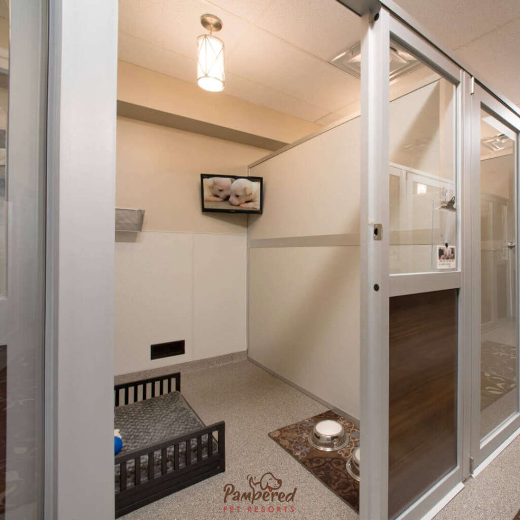 Dog Boarding Naples FL